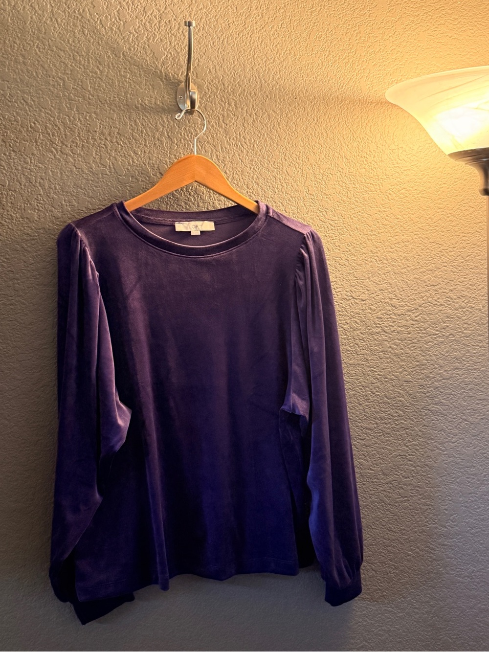 LOFT Purple Velvet Long-Sleeve Tee